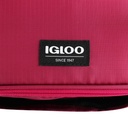 [00066394] IGLOO-Collapse & Cool 6 Cool Bag - Zinfandel / Scooter Image 