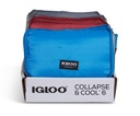 [00066484] IGLOO-Collapse & Cool 6 Solid Assortment - Blue/Black  Image 