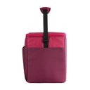 [00066406] IGLOO-Hlc 24 Opp Essentials Cooler Bag  - Scooter.Zinfandel Image 