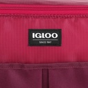 [00066406] IGLOO-Hlc 24 Opp Essentials Cooler Bag  - Scooter.Zinfandel Image 