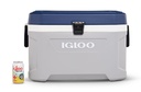 [00050543] IGLOO-Maxcold Latitude 54 - Ash Gray  Image 