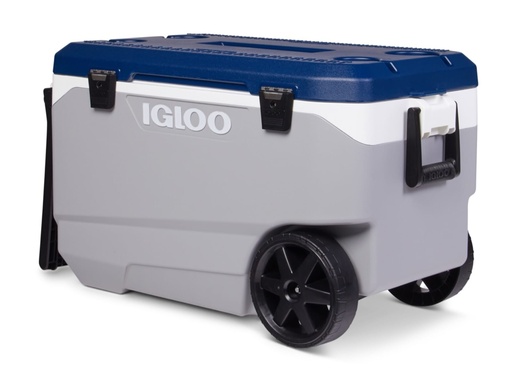 [00034818] IGLOO-Maxcold Latitude 90 Roller - Ash Gray 