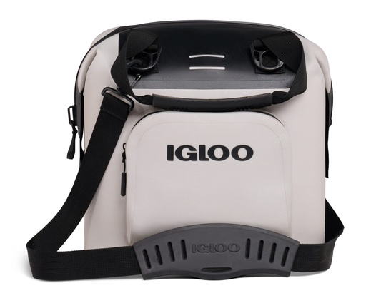 [00062314] IGLOO-Recon 18 - Bone 